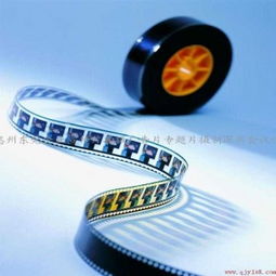 專業展會視覺營銷全方案 從宣傳片拍攝到影視節目制作一站式服務